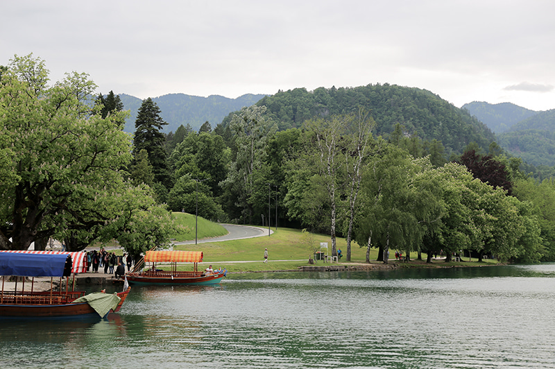 (new) Bled, Slovenia #1