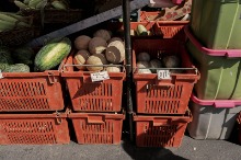 King farmer&#039;s market (in PORTLAND)